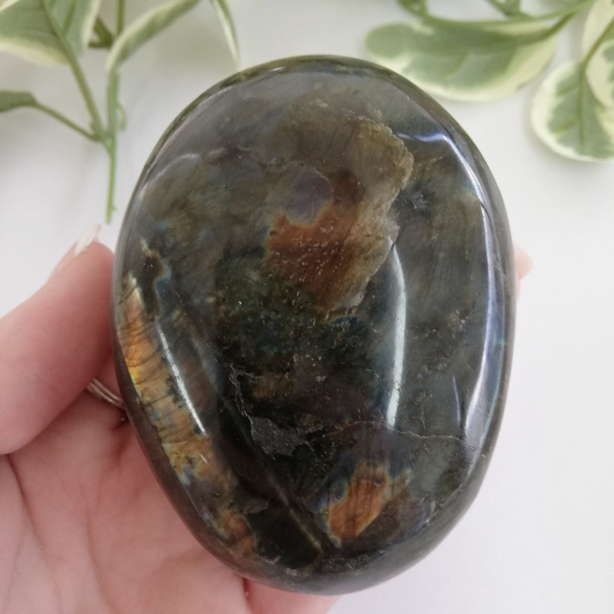 Labradorite Pebble - Large - 01 Labradorite Pebble - Large - 01